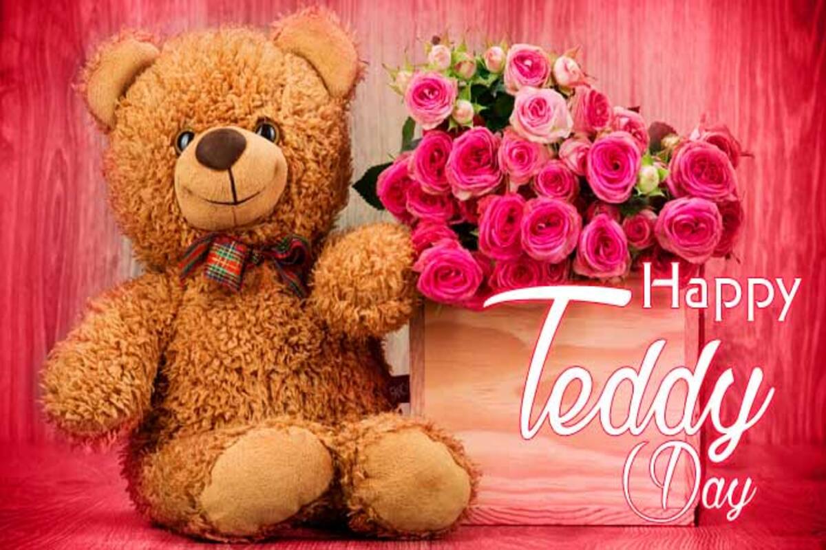 Happy Teddy Day 2019: Best SMS, Wishes, WhatsApp Messages And ...