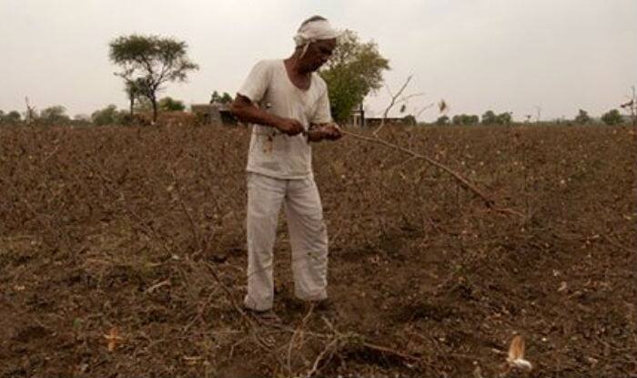 Farmers demand compensation for crop loss | India.com