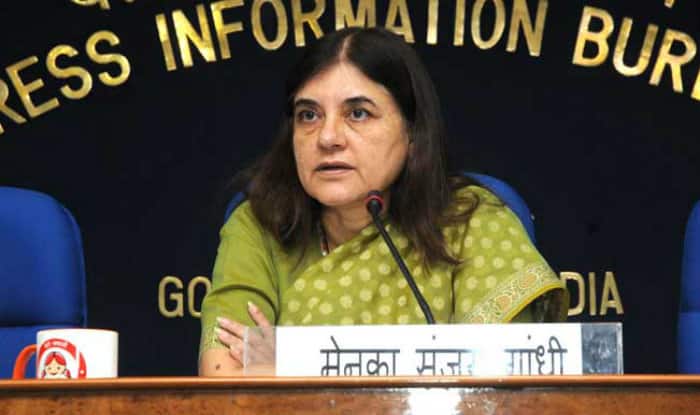 Maneka Gandhi says Marital Rape Can be Brought into Crime category | पत्नी से जबरन यौन संबंध बनाना भी होगा अपराध 