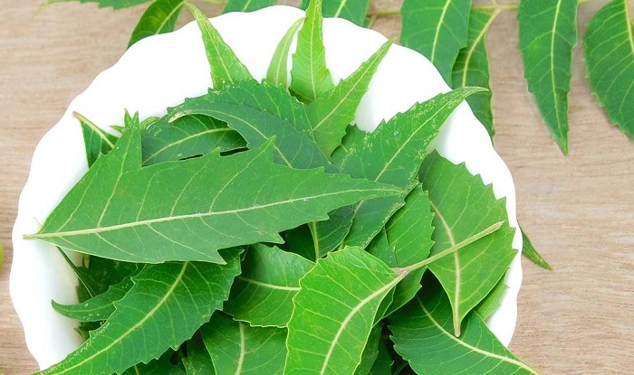36-Amazing-Benefits-And-Uses-Of-Neem-For-Skin-Hair-And-Health