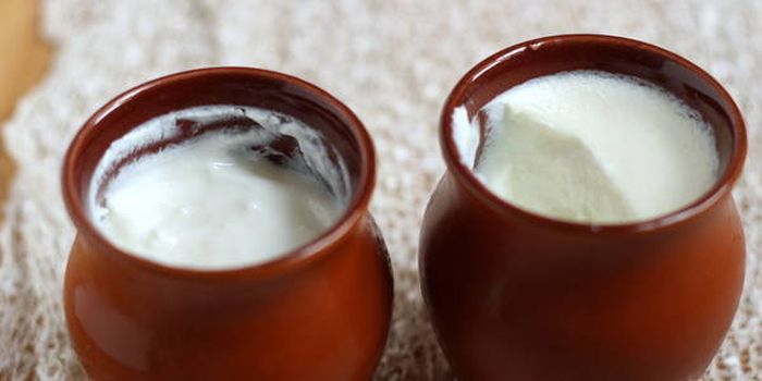 Curd