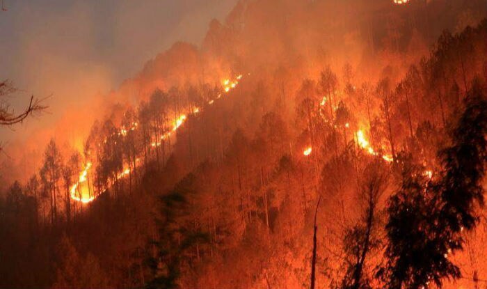 Uttarakhand Forest Fires: Almost 2000 hectares of green cover devoured by flames; Delhi Fire department chief to visit state today