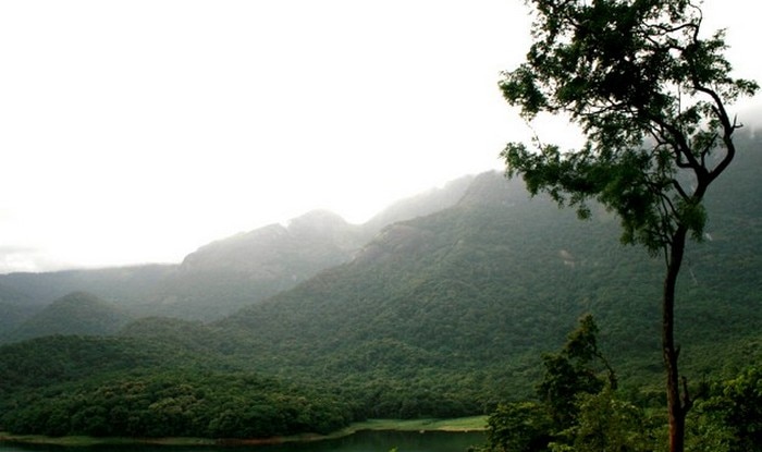 nelliampathi