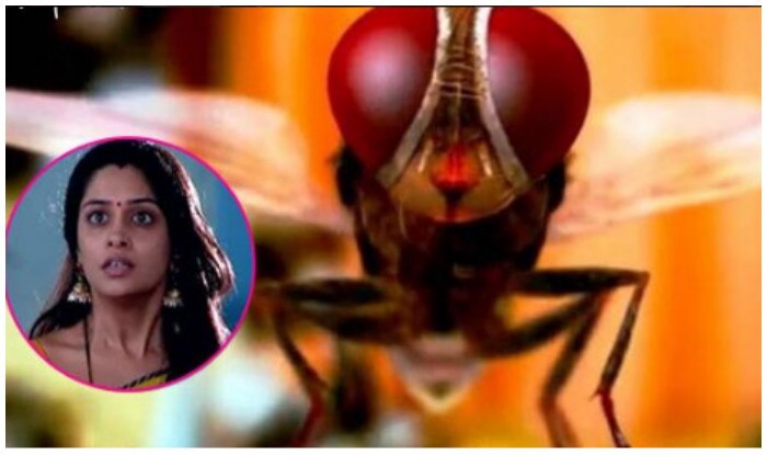 sasural simar ka