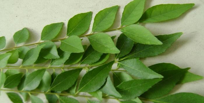 Vitamin A B C in curry leaves