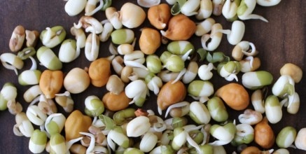 sprouts