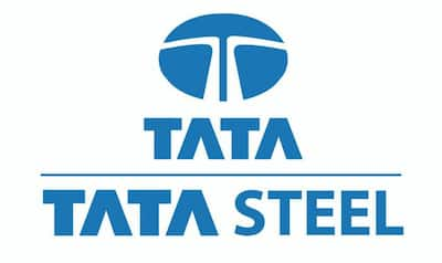 Tata Steel, Business