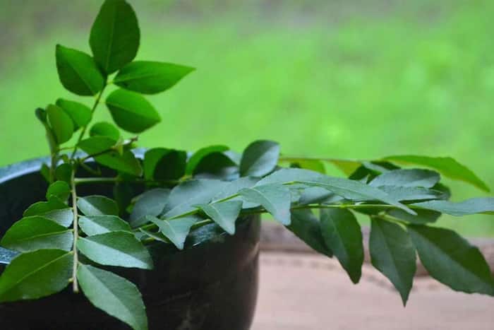 Health Benefits of Curry Leaves