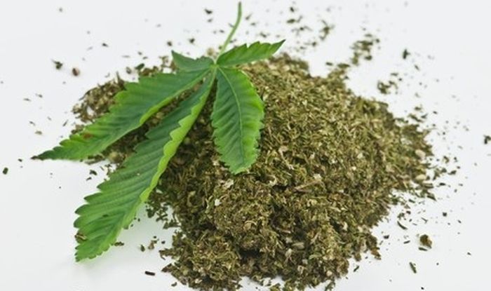 Chennai: Two Men Arrested After Posting Selfie with Cannabis on