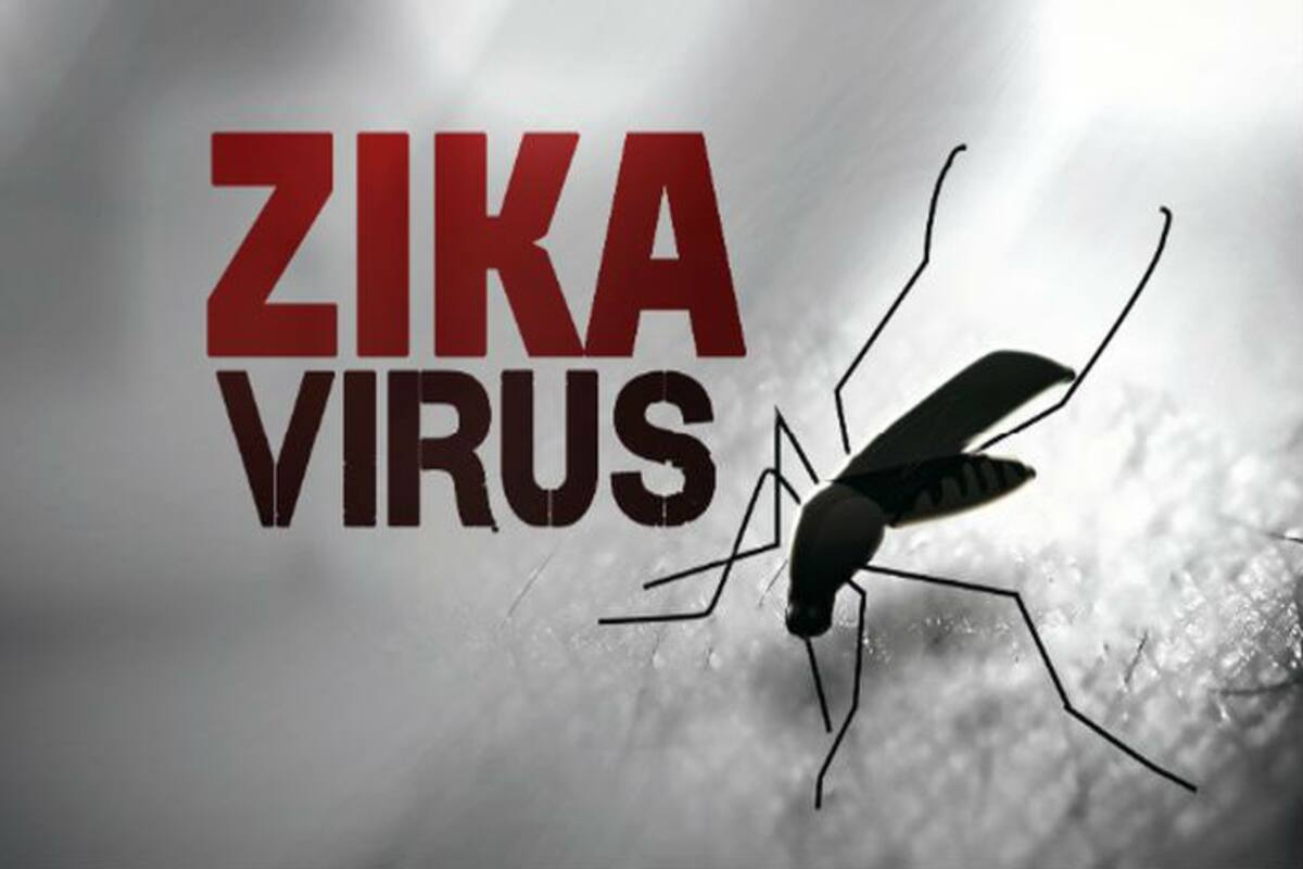 zika virus outbreak in india, the symptoms and these are the Ways to prevent disease । जीका वायरस की दस्तक से देश भर में दहशत, बरतें सावधानी, अपनाए ये आसान उपाय -