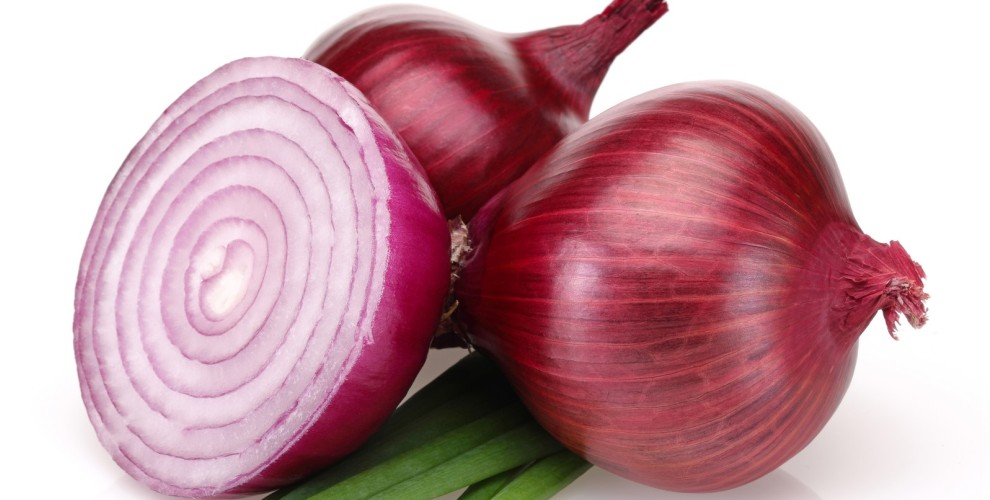 ek_5-onion