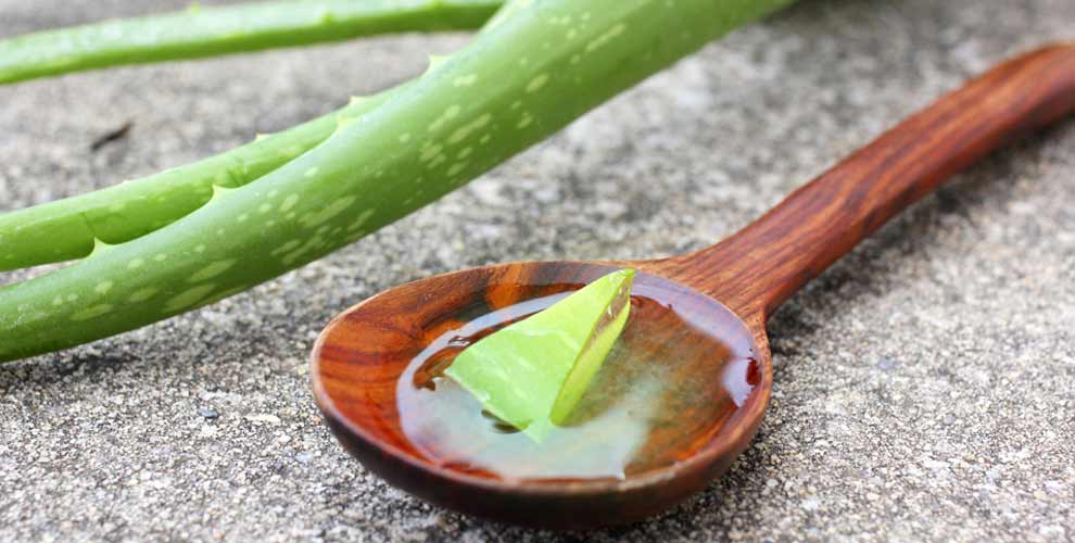 ek_AloeVera