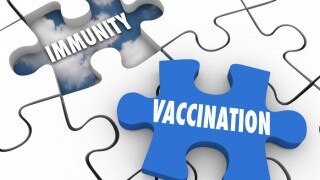 August Acts as National Immunization Awareness Month, Highlights Importance of Vaccines August Acts as National Immunization Awareness Month, Highlights Importance of Vaccines