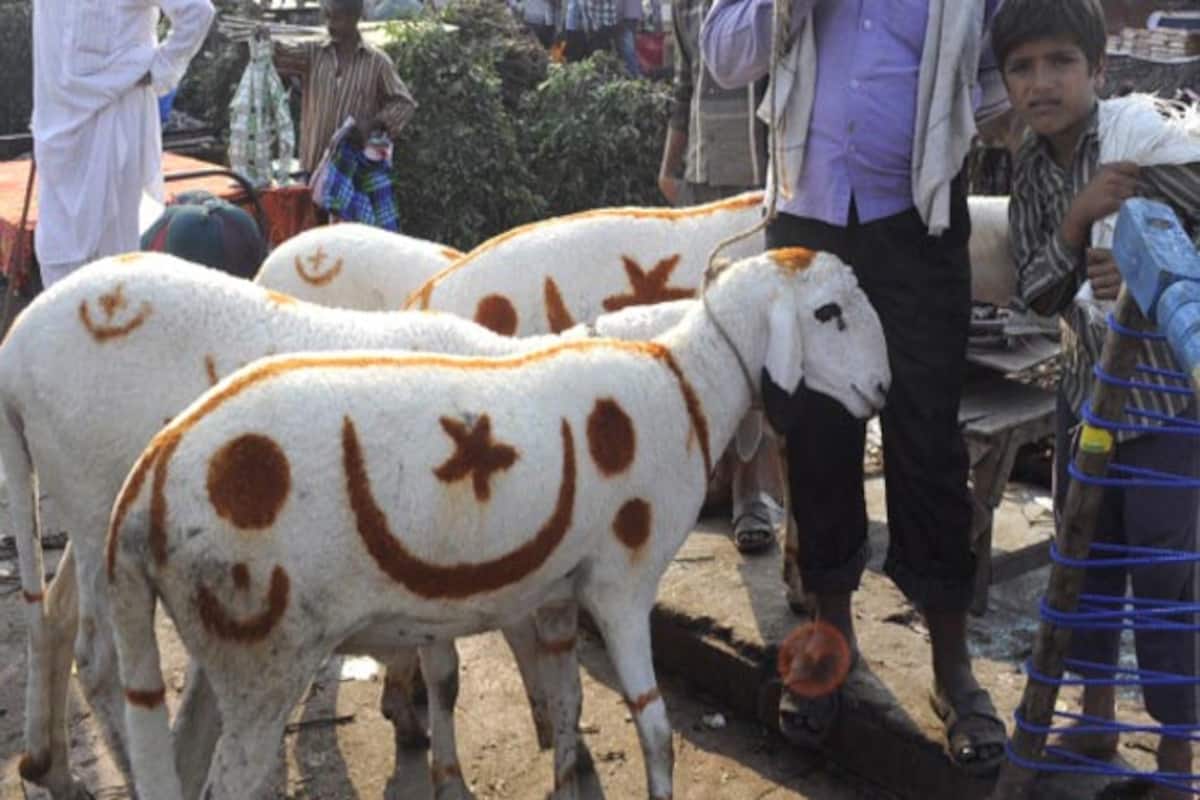 Plea in Supreme Court against sacrificing animals on Bakr-Eid Plea in Supreme Court against sacrificing animals on Bakr-Eid