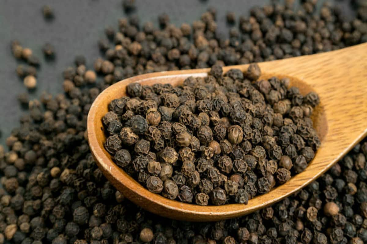 सर्दी-जुकाम, कफ हो तो ऐसे करें काली मिर्च का सेवन, दूर होगा हर दर्द... - Black pepper for common cold cough allergy kaali mirch home remedies - Latest News & Updates in