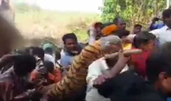 Man Eater Tigress Shot Dead In Uttarakhand 