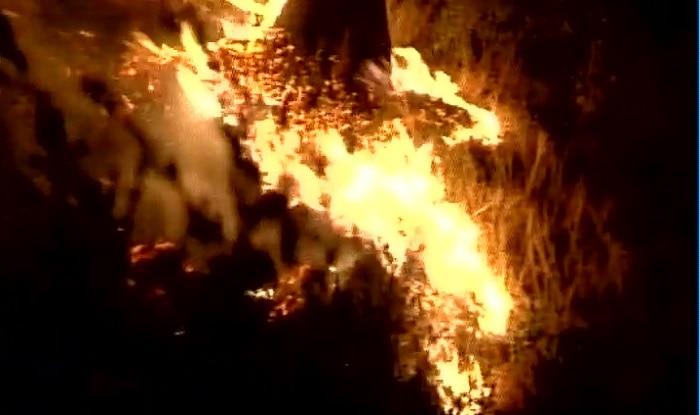 Jammu and Kashmir: Massive forest fire breaks out in Doda; fire ...