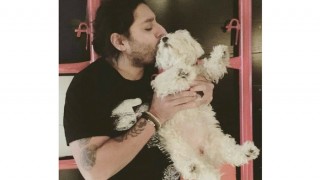New York Hot Dogs: High-Flying Hotelier Vikram Chatwal Tries to Set Two Pooches Aflame – Updated New York Hot Dogs: High-Flying Hotelier Vikram Chatwal Tries to Set Two Pooches Aflame – Updated