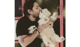 New York Hot Dogs: High-Flying Hotelier Vikram Chatwal Tries to Set Two Pooches Aflame - Updated