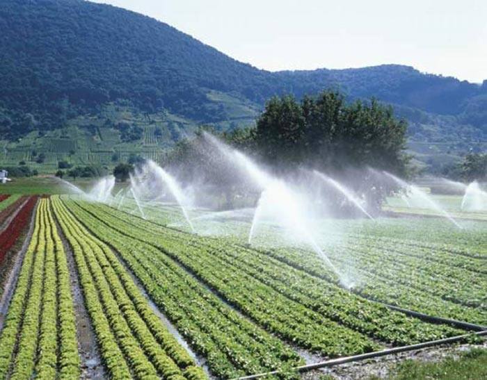Micro-irrigation System