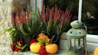 7 Ways to Decorate Your Home Using Vegetables and Herbs 7 Ways to Decorate Your Home Using Vegetables and Herbs