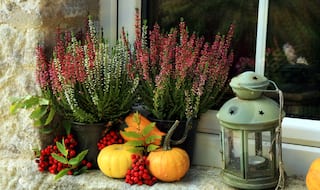 7 Ways to Decorate Your Home Using Vegetables and Herbs