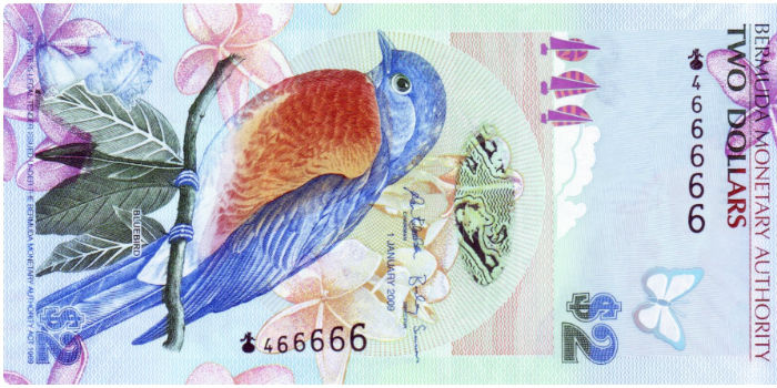 Bermudian dollar
