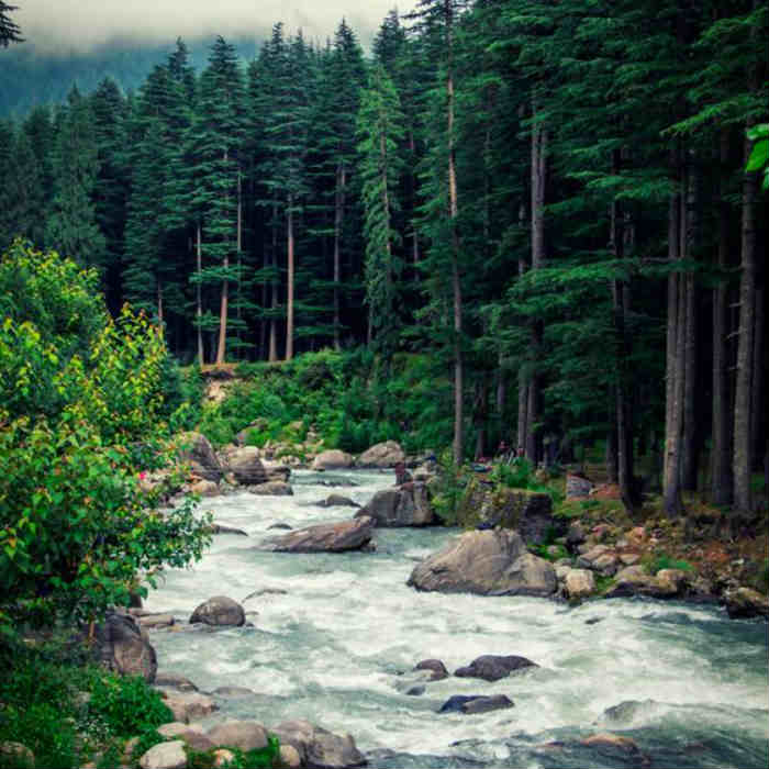 dalhousie
