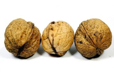 Urogun - male enhancement supplement - ES