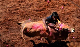 Madurai District Administration Makes Aadhaar Mandatory For Bull Tamers to Participate in Jallikattu Celebrations