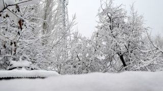 Kashmir in Grip of Severe Cold Wave, Several Regions Witness Sub Zero Temperature Kashmir in Grip of Severe Cold Wave, Several Regions Witness Sub Zero Temperature