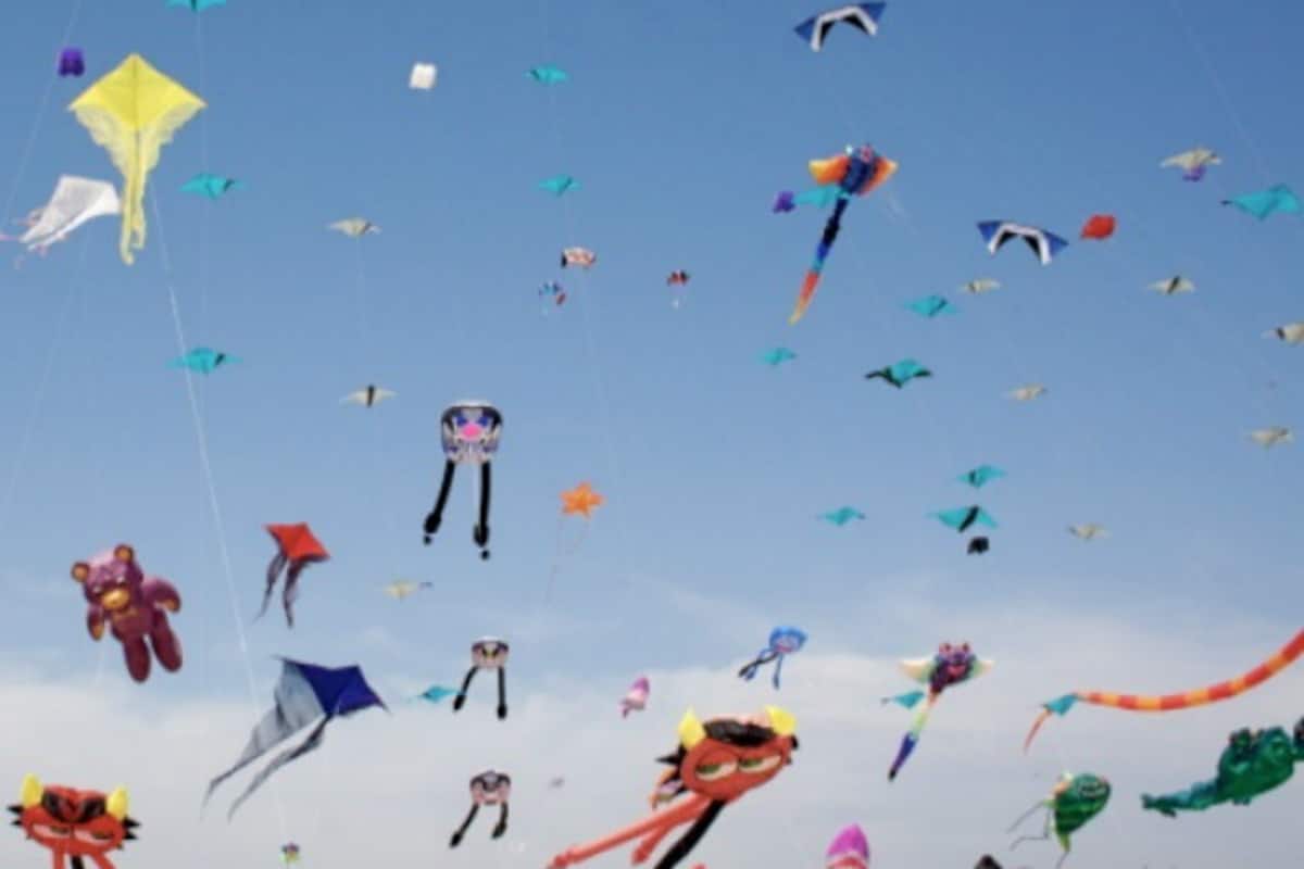 Gujarat's Kite Festival Turned Tragic: 16 People Reported Killed ...