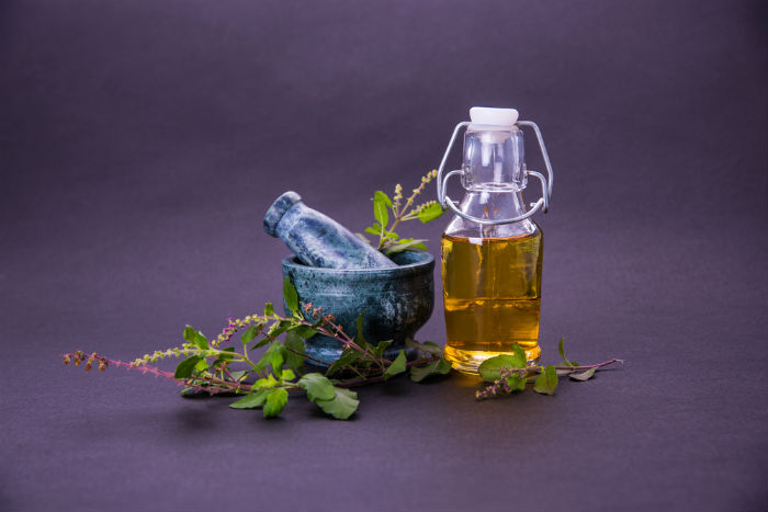 tulsishutterstock_487090006