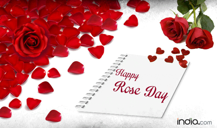 Happy Rose Day 2017: Best Rose Day SMS, Quotes, WhatsApp & Facebook  Messages to send Happy Rose Day greetings to your Valentine! 