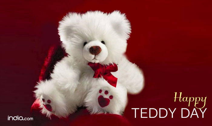 teddy bear in red colour