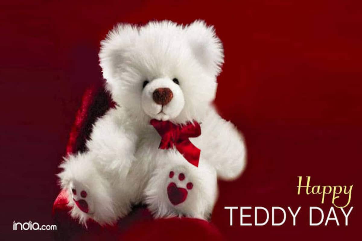 Happy Teddy Day 2017: Importance of Teddy Day and Teddy Bear ...