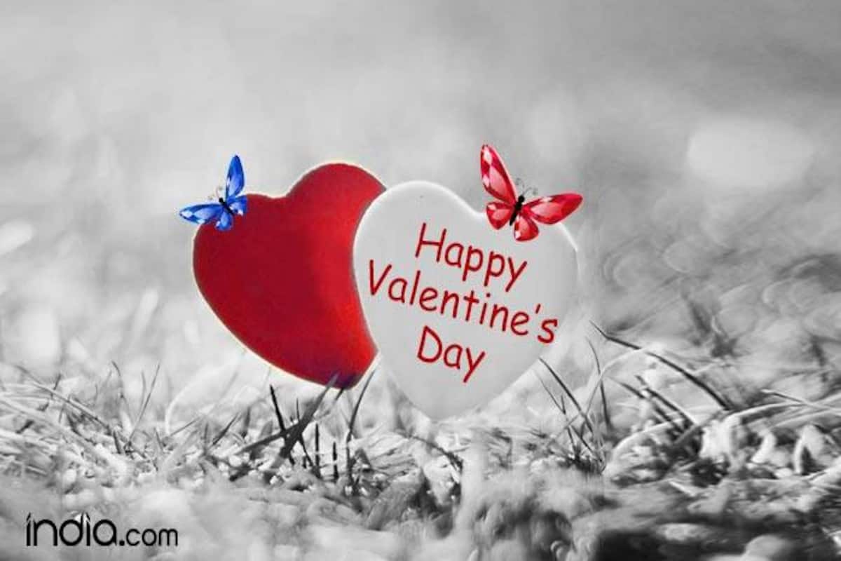 Happy Valentine Day Status, Valentines Day HD Images