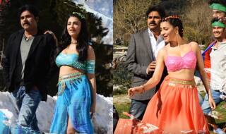 Katamarayudu song Emo Emo: Pawan Kalyan and Shruti Haasan's new peppy number is addictive!