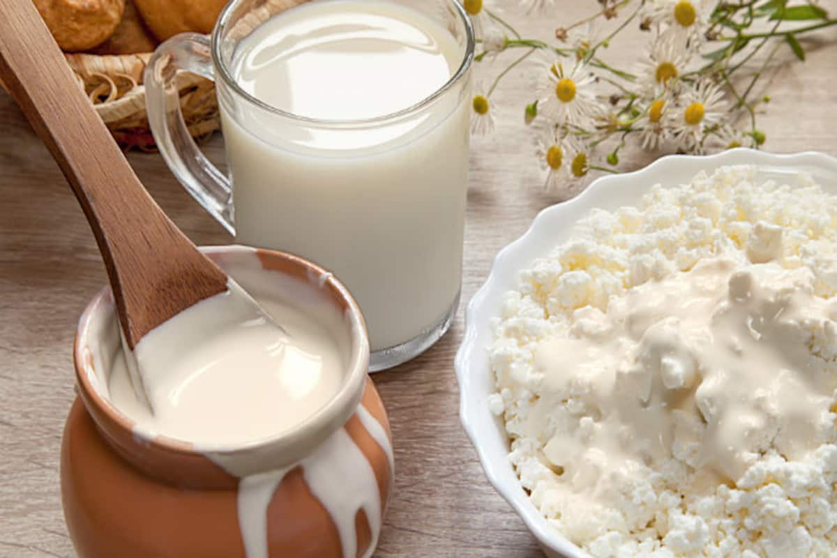 Top 8 ways to include more curd in your diet | India.com