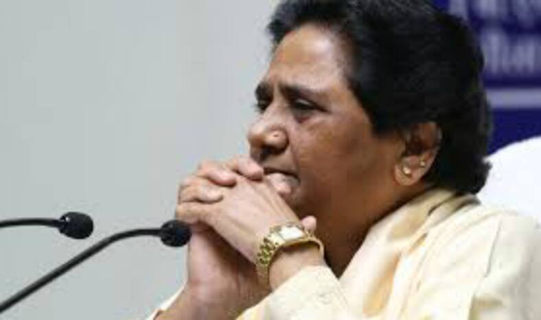 Supreme Court Asks Mayawati to Pay Back Public Money Spent on Erecting Statues of Herself, Elephants in Parks