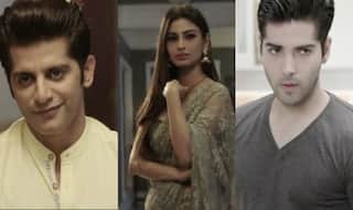Naagin 2 12 March 2017 written update, full episode: Rudra attacks Rocky and his family!
