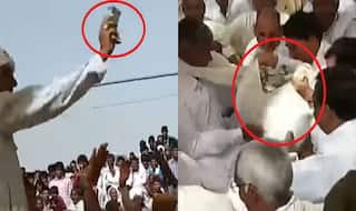 Rajasthan: Tea seller comes under IT department radar for giving Rs 1.5 crore dowry for 6 daughters