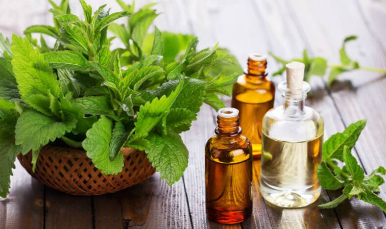 Top 5 essential oils for hair growth and how to use them