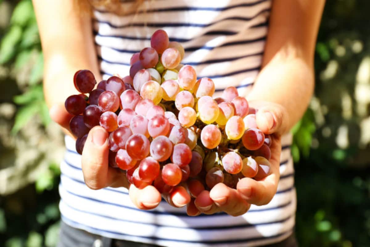 Health benefits of grapes: 7 reasons why you should eat more grapes |  