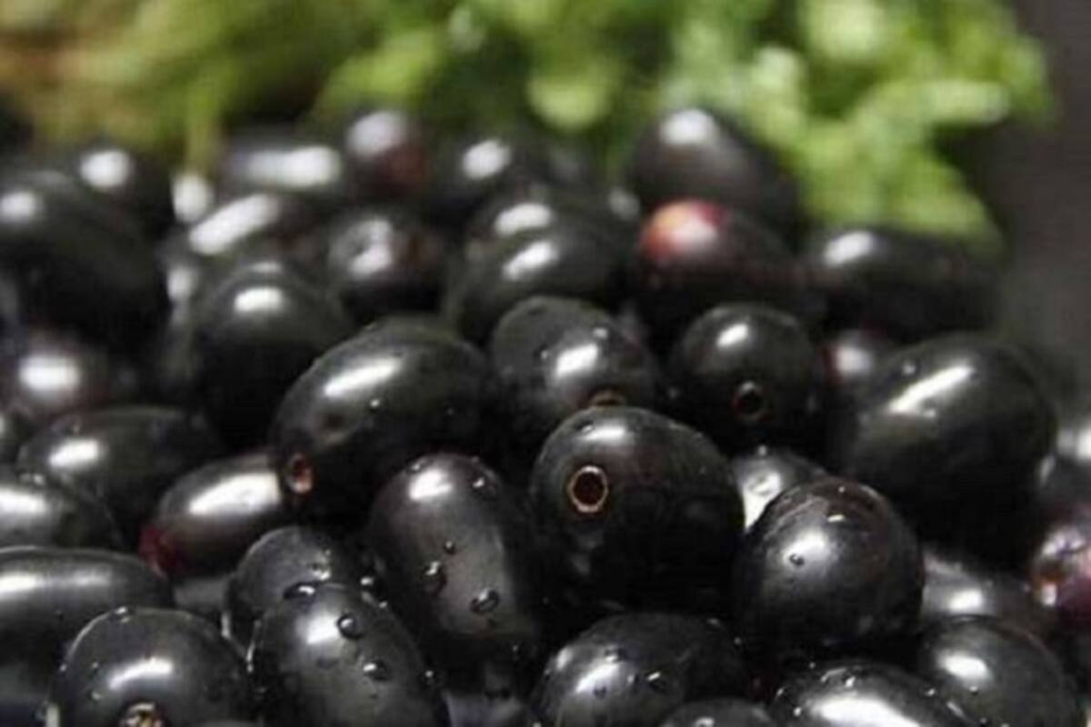 Jamun For Skin Hairs गर म य म स क न और ब ल पर लग ए ज म न यह ज न इसक फ यद 100 फ सद द ख ग असर Jamun For Skin Hair Apply Jamun On Skin And Hair