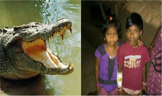Odisha: Minor girl fights crocodile with bamboo stick to save friend