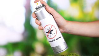 World Mosquito Day: How Dengue Affects Your Health World Mosquito Day: How Dengue Affects Your Health