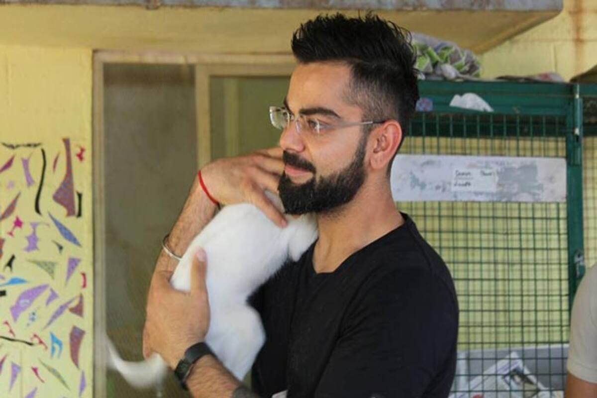 Virat Kohli adopts 15 dogs with special needs from animal rescue centre CARE in Bengaluru! Virat Kohli adopts 15 dogs with special needs from animal rescue centre CARE in Bengaluru!