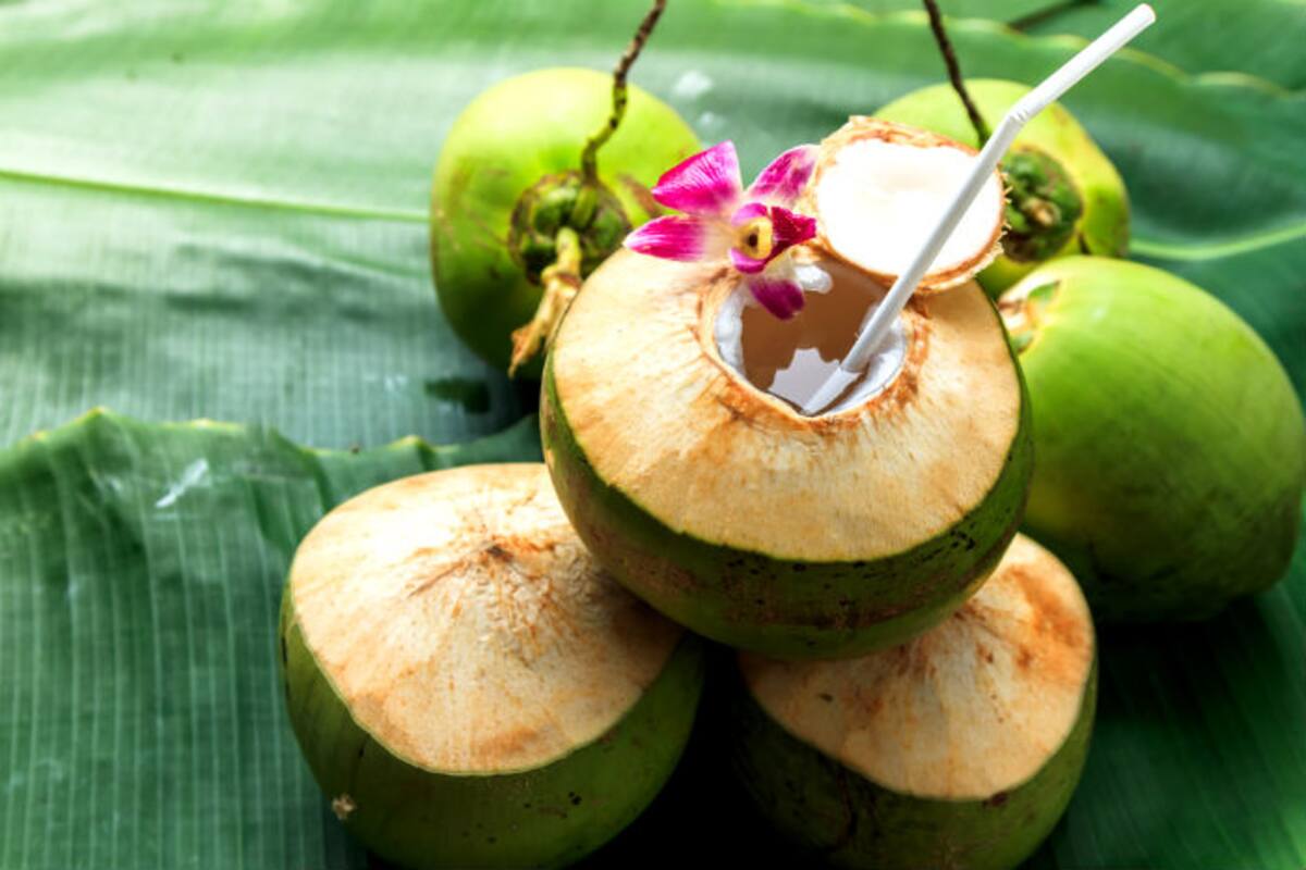 Nariyal Ki Malai Ke Fayde: नारियल पानी पीने के बाद क्या आप भी फेंक देते हैं  इसकी मलाई? फायदे जानकर कभी नहीं करेंगे ये काम