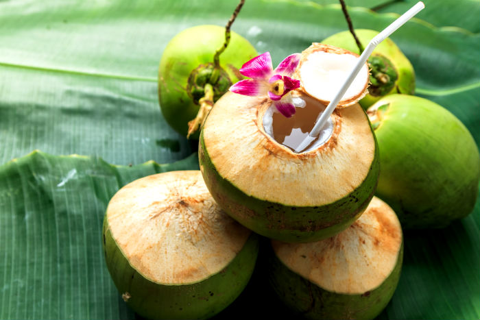 World Coconut Day 2020: नारियल खाने के इन फायदों के बारे में शायद ही जानते होंगे आप - World coconut day know benefits of eating coconut - Latest News &amp; Updates in